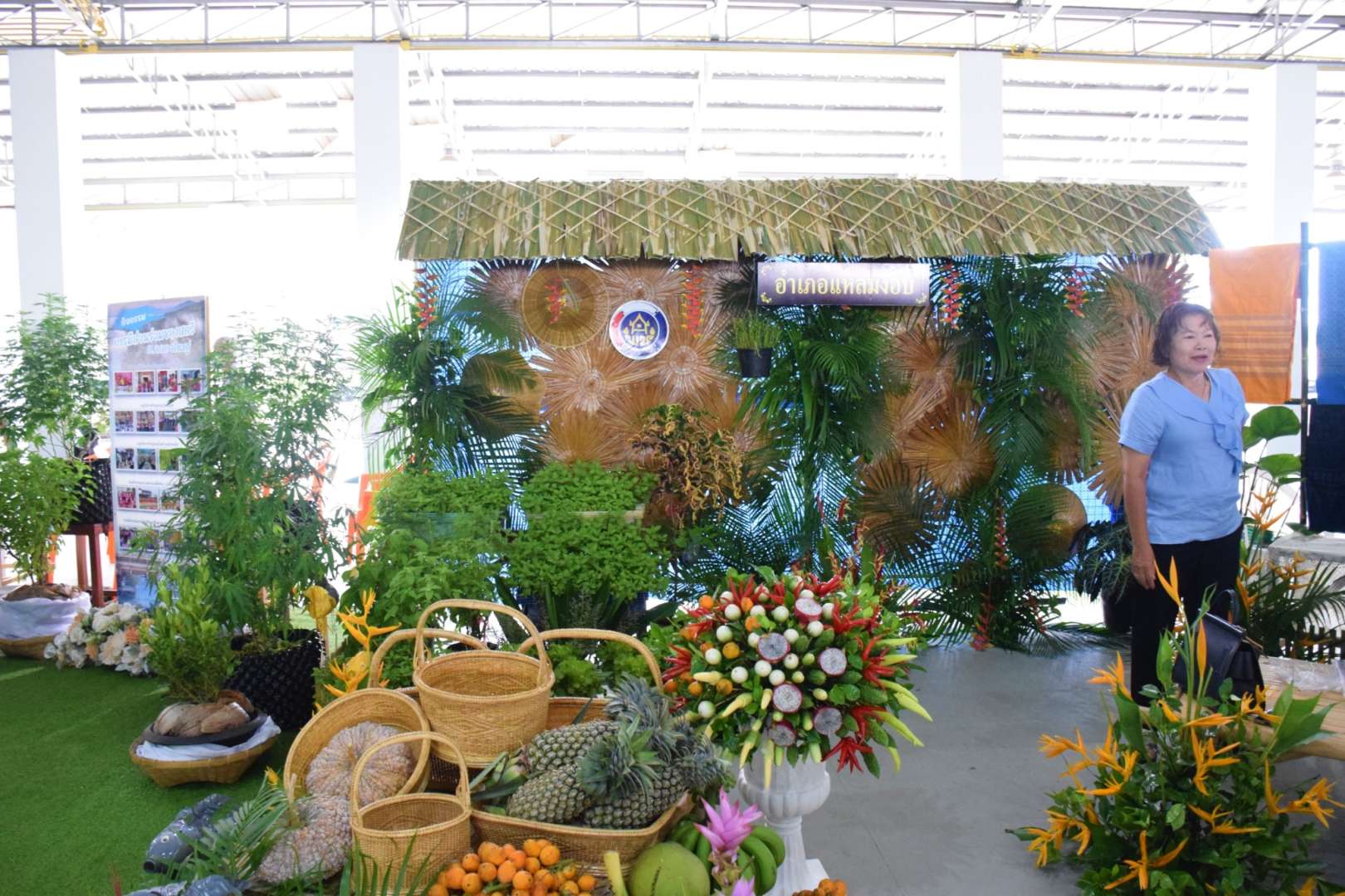 catalogs_file_219_11_12_888.jpg